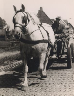 Man-met-paard-en-wagen-onderweg
Man met paard en wagen onderweg
