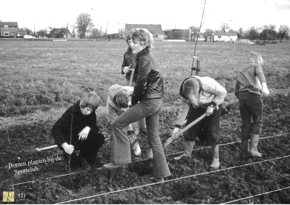 0371  Bomen planten.
