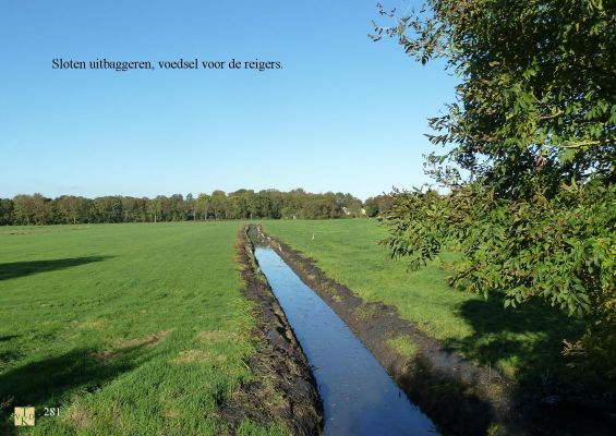 0281 Voer voor de reigers.  
 
