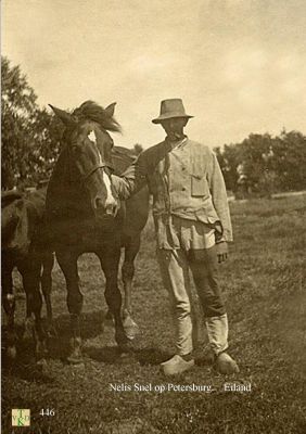 0446 Man met paard.  
 Op het landgoed PETERSBURG.
