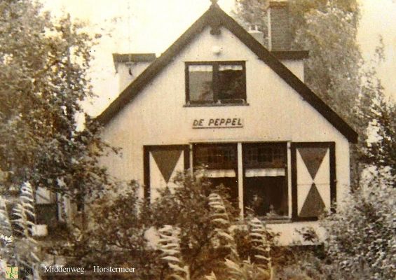 0483 Woning DE PEPPEL 
 Machine fabriek.
