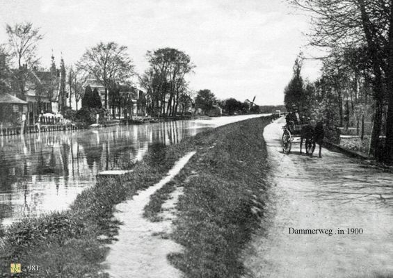 0981 Paarden voertuig. 
 Onverharde Dammerweg  
