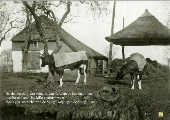 1178 Boerderij  tegen de Spiegelplas.
