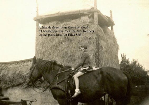 1244 Op de boerderij van C.Snel Sr.
