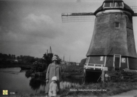 1246 Bij de molen. 
