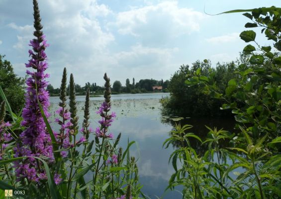 0083__Vanaf_het_Bergsepad_
Uitzicht op het oude stoomgemaal.
