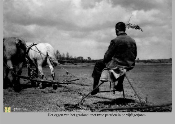 2769_
2769 Het eggen van het grasland met twee paarden in 1950 
