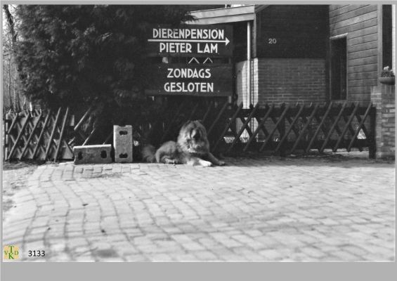 3133
_Dieren_pension
