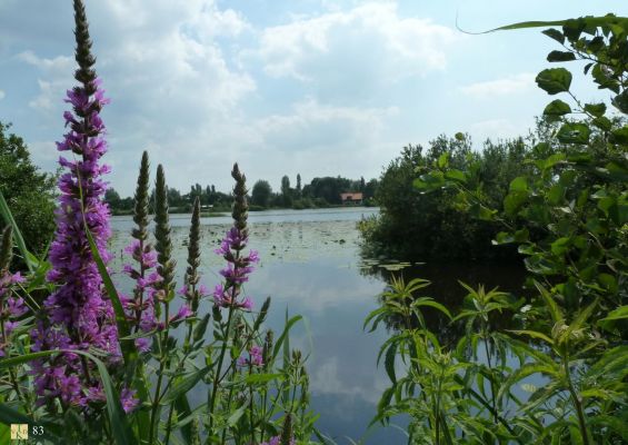 83__Vanaf_het_Bergsepad gezien
Het oude gemaal Horstermeer
