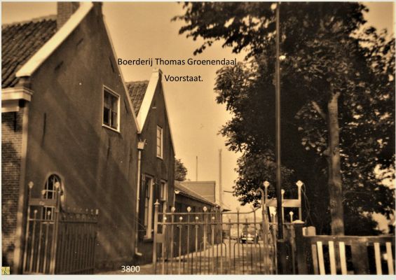 3800
Hek bij Groenendaal
Trefwoorden: - Dit is een steek woord -