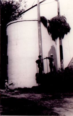 Het-vullen-van-Silo-met-kuilgras
De silo van boerderij C- Lam aan de Middenweg 30 wordt gevuld met kuilgras-  Zie verder Werinon nr- 51 het jaar van de boerderij-  Zie ook 05-15-12
Trefwoorden: Boerderijen Boerenbedrijf