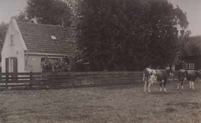 Boerderijtje
Boerderij van Japie v d Akker.
In 1936 afgebroken om plaats te maken voor het zusterhuis.
Hij woonde er samen met huishoudster Henriètje.
