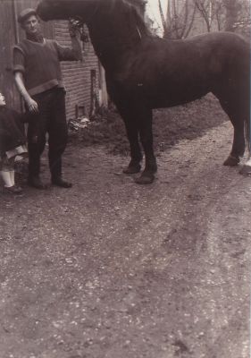 Piet Snoek met dochter Jolanda en paard
Het laatste paard van Wasserij  Welgelegen. Reeweg nr 1
