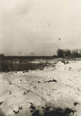 Oud-boerderijtje
Op de achtergrond de boerderij van de familie v.d.Vliet.
