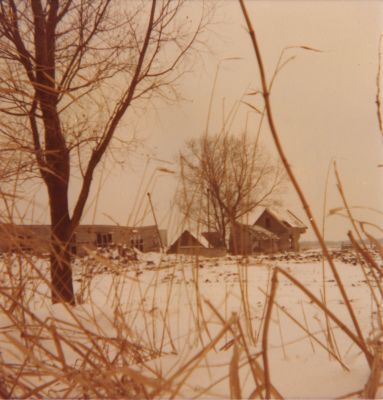 Manege-in-wintertijd
In de Blijkpolder, achter manege “Laanhoeve” de oude boerderij van Bart Meyer.
