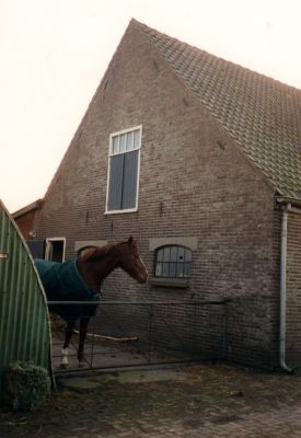 Boerderij-ven-Klaas-Stoker
Paardenstal van de boerderij van de familie Klaas Stoker. Bouwjaar 1924.
Zie ook foto 5-7-9A
