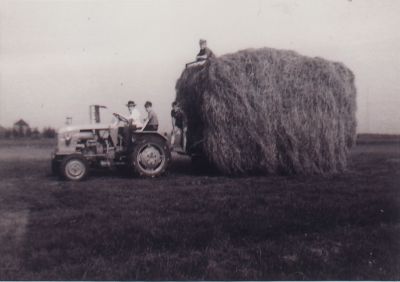 Nieuwbouw-boerderij-Middenweg-72-Fam-Smit
De boerderij van de fam.Smit was ook een melkveehouderij. Voor de oorlog werd de melk in de Horstermeer uitgevent. Enige jaren geleden werd het bedrijf opgeheven. Leo Smit was de laatste Smit op het bedrijf .De laatste jaren waren de gebouwen in gebruik voor hobbypaarden. De boerderij droeg de naam “Eborg”.De verklaringen van die naam is als volgt : De moeder van Floor Smit was van Duitse afkomst en heette Grobbe. Ter herinnering hieraan vond ze die naam te Duits klinken en gebruikte za de naam Eborg. Ter herinnering hieraan kreeg de boerderij ruim na de oorlog de nam “Eborg”. In 2002 is het woonhuis gesloopt en nu vindt er nieuwbouw plaats (september 2003).
Trefwoorden: Middenweg, Horstermeer