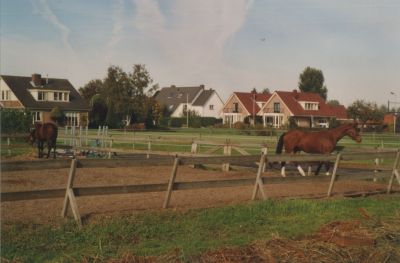 Paardenbak
Paardenbak bij Jan Siewertsen.
