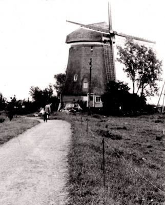 Molen-Stichts-Ankeveensepolder
De molen in de Stichts Ankeveensepolder.
De heer en mevrouw Mesdag woonden in de molen.
Nu eigendom Hr. de Winter.
