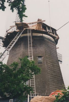 Vernieuwing-rietkap-molen
Molen van de Stichts-Ankeveense polder.
Het riet wordt vernieuwd.
De huidige bewoner (anno2008) is de fam J. Mesdag.
