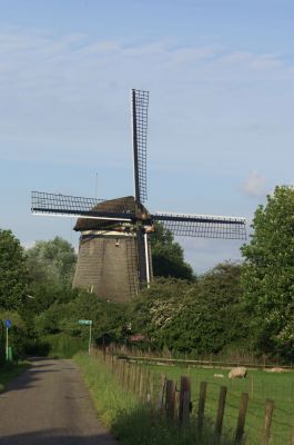 Poldermolen
Aan het Ankeveensepad staat een karakteristieke watermolen die in 1632 werd gebouwd. In 1932 raakte de molen buiten gebruik door de stichting van een elektrisch gemaal en al gauw sloeg het verval toe. Dankzij een grootscheepse akte in 1938 van de vereniging ‘Curtevenne’ te Kortenhoef kon de molen van de ondergang gered worden. Na de oorlog verkeerde de molen weer in een desolate staat en sloop dreigde. De heer Van Mesdag kocht echter de vervallen molen voor ƒ1,- en begon in 1956 met de restauratie. In goede staat is hij nog steeds een sieraad in het Bergse polderlandschap.
GPS: N 52º 15.862’  O 5º 3.103’
Zie voor meer informatie: https://www.molendatabase.nl/nederland/molen.php?nummer=684
Trefwoorden: QR_009