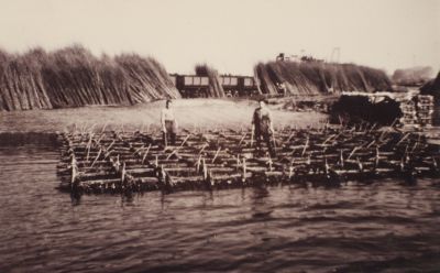 Oeverversterking
Om de oevers van de Spiegelplas te versterken werden er zogenaamde zinkers gemaakt, deze werden met behulp van een sleepboot naar de juiste plaats getrokken.
