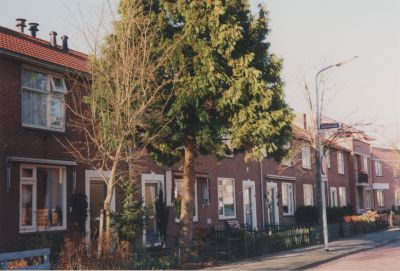 Straat-in-Overmeer
Straatbeeld.
