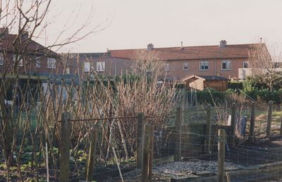 Voormalige-speeltuin
Volkstuinen op terrein achter de Kastanjelaan en de Meidoornlaan.
 Daar was voordien de voormalige Speeltuin.
