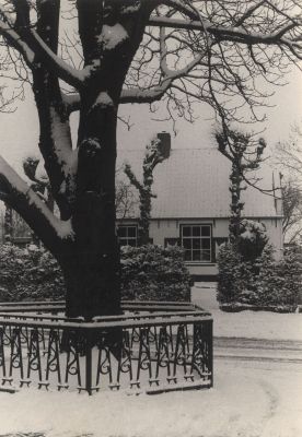Herdenkingsboom
Deze boom is geplaatst naar aanleiding van het huwelijk van Prins Bernhard en Prinses Juliana in 1939-  Het huis op de achtergrond is nu bewoond door de Familie Peeters
Trefwoorden: J-B-Plein  J-B-Plein  J-B-Plein Dorpszicht